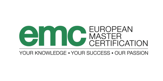 Why EMC Compliance is the Silent Guardian of Your Massage Gun Quality - ECOZY