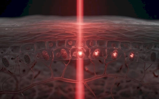 Pain_Relief_Device-850nm_Red_Light-Pages-Ecozy