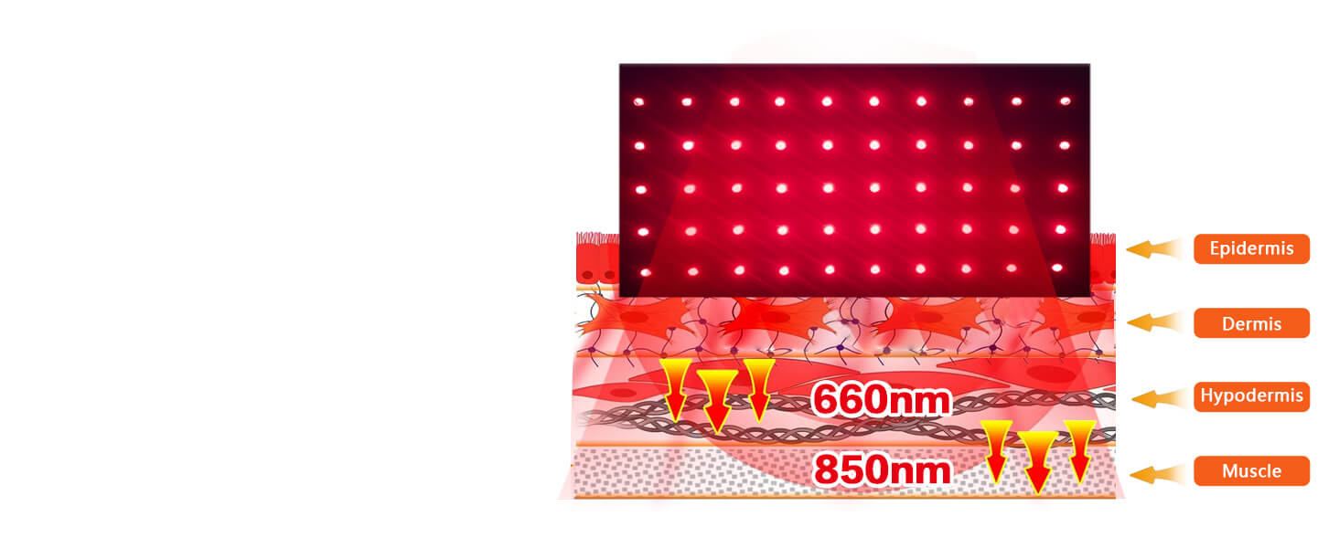 Red Light Banner-ECOZY