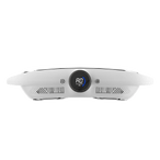 Stomach Vibrating Belt Supplier - ECOZY