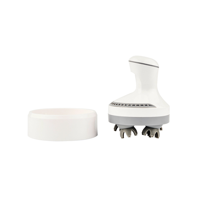 electric massager1
